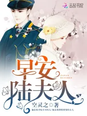 早安,陆夫人
