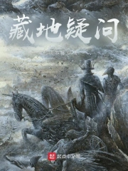 藏地疑问
