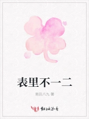 表里不一二
