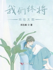 我们终将向往太阳