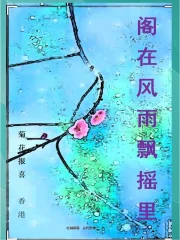 阁在风雨飘摇里