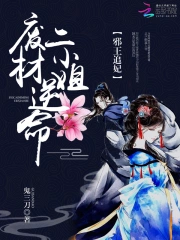 邪王追妃:废材逆命二小姐