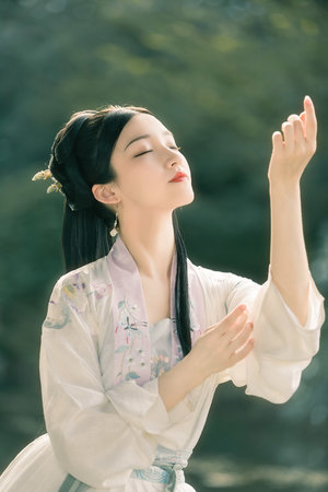丞相夫人不敢当
